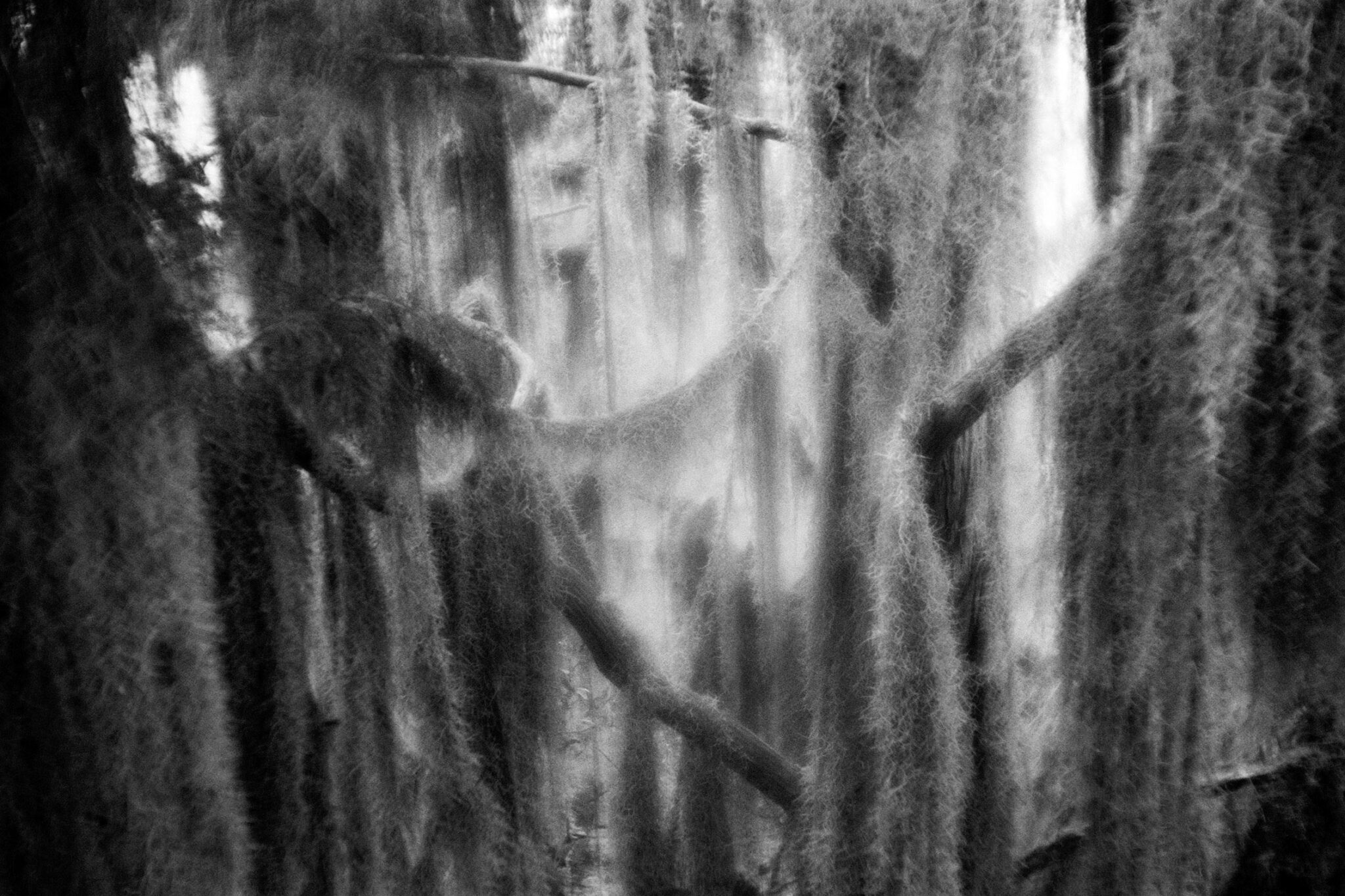 Trouwfoto door Trouwfotograaf Sanne Peper
